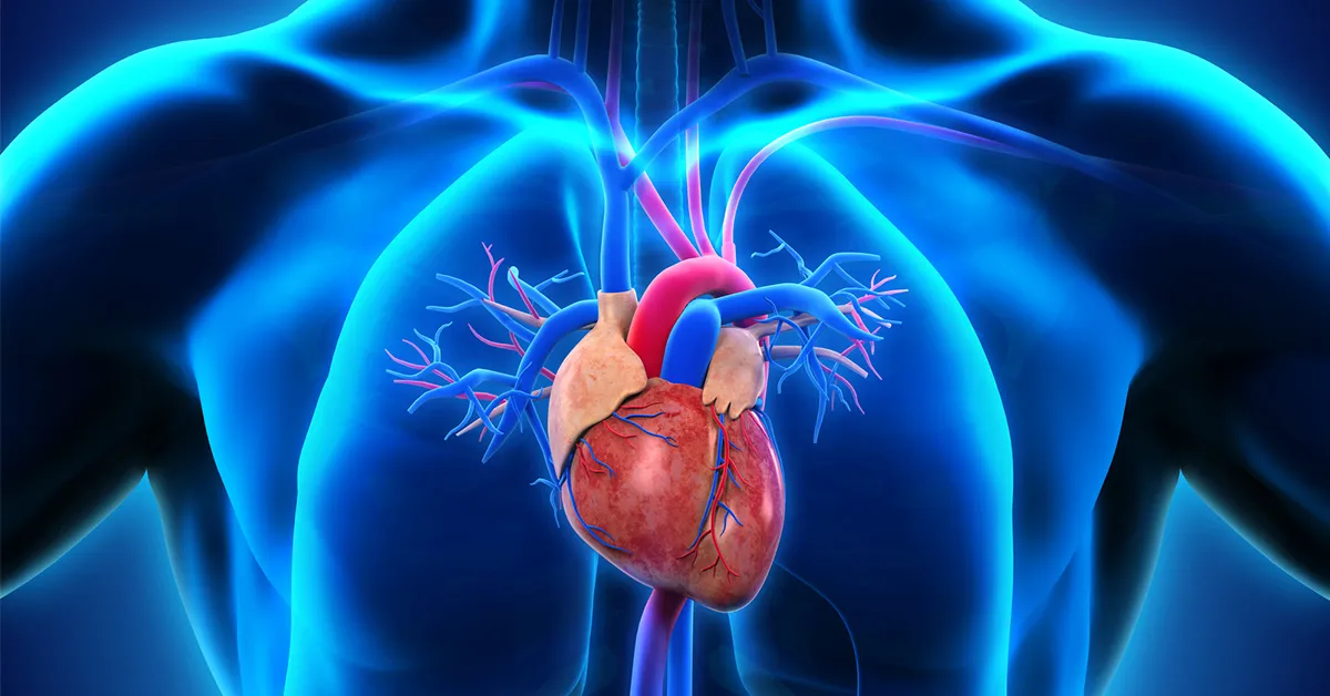 پریکاردیت قلبی چیست و چگونه درمان می شود؟